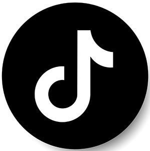 TikTok Logo